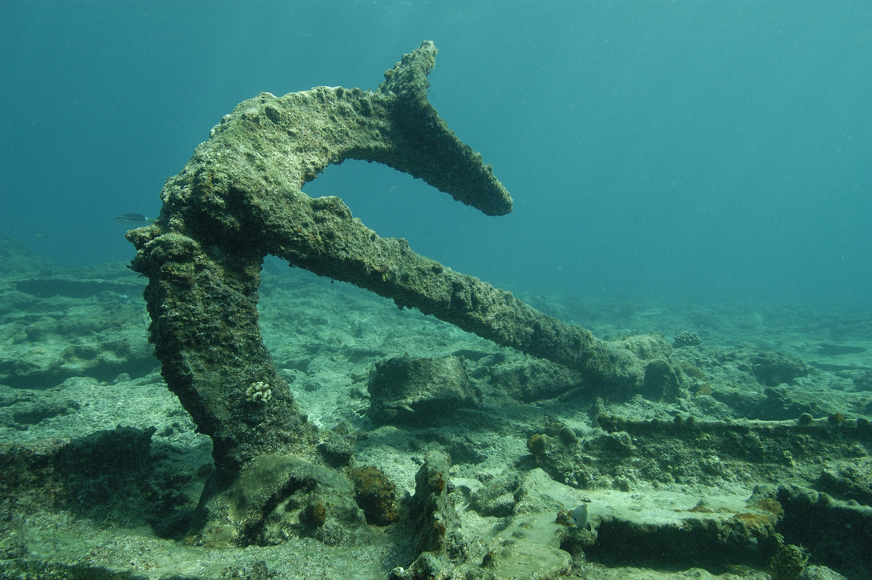 This is an image of the British sailing vessel Dunnottar Castle Trotman anchor, which is submerged near the Kure Atoll, part of Northwestern Hawaiian Islands.